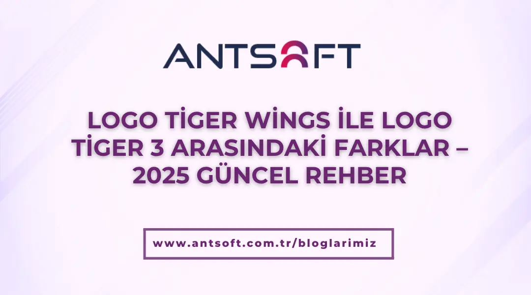 Tiger 3 mü yoksa Tiger Wings mi?
