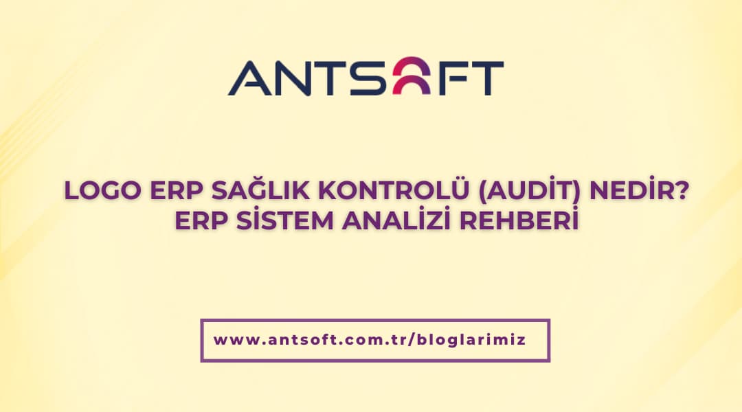 logo erp danışmanlık